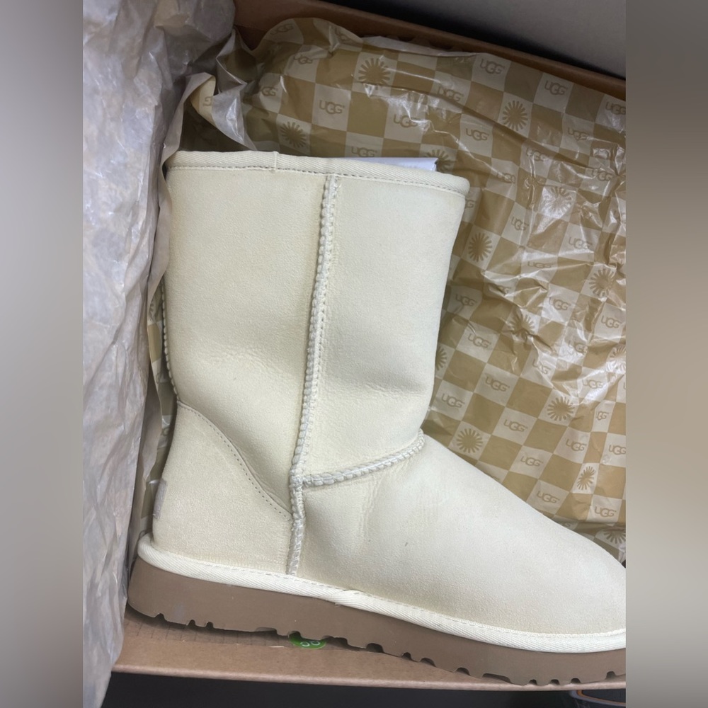 original uggs classic short in sugar